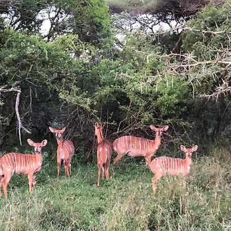 Msunduze River Lodge Mkuze Buitenkant foto