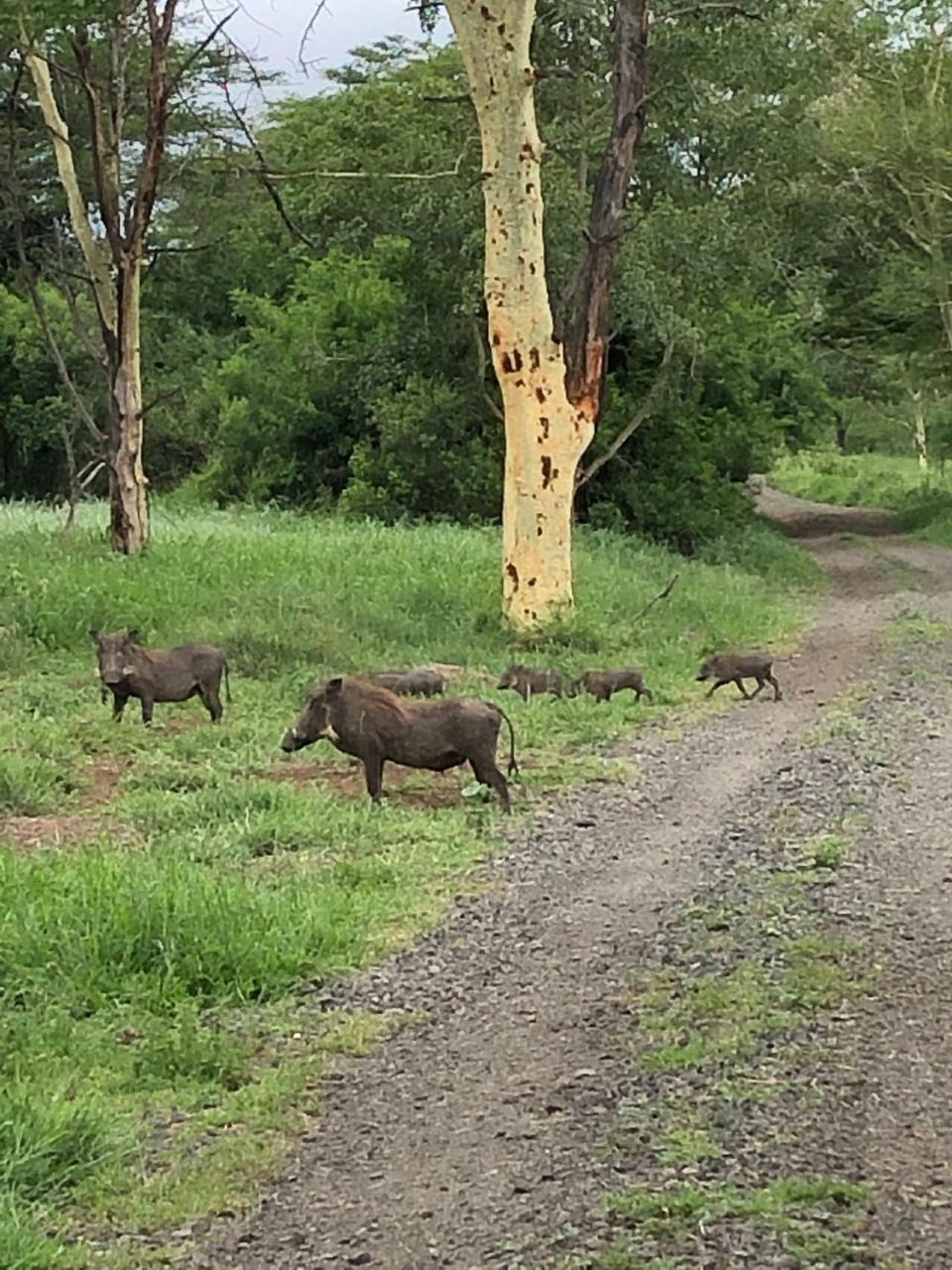 Msunduze River Lodge Mkuze Buitenkant foto